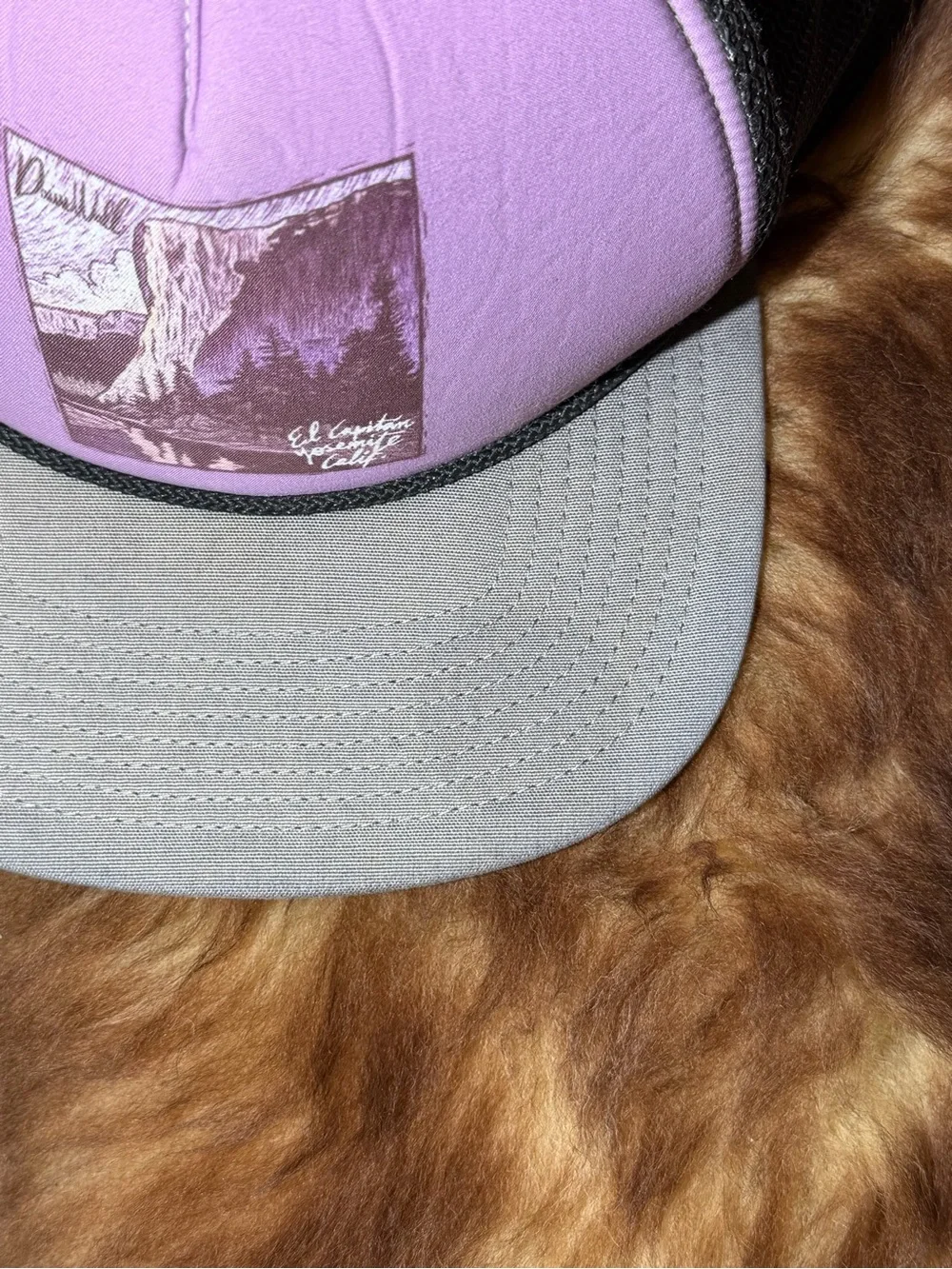Patagonia El Cap Classic Interstate Hat